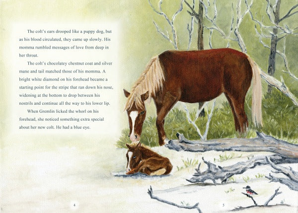 Text appears on the left as a brown and white Chincoteague Pony mare grazes by her chestnut foal, surrounded by trees on Assateague Island. In the foreground, a bird perches nearby. Product: Surfer Dude by Schiffer Publishing, Ltd.