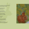 A child sleeps on a pillow in a green field as a brown rabbit watches; the soft green background with a bunny silhouette evokes the magic of Rupert's Tales: Learning Magick by Schiffer Publishing, Ltd. Text is on both pages with a light green background.