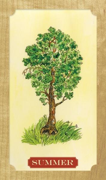 Vintage postcard-style illustration from the Tree of Life Oracle by Schiffer Publishing, Ltd., featuring a leafy green tree in grass on a cream background, with "SUMMER" in a red box. Evokes themes of self-awareness.