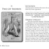 The Secret Language of Birds Tarot by Schiffer Publishing, Ltd. features a Two of Swords card with a blindfolded woman holding crossed swords, symbolizing indecision, opposition, and the challenge of balancing others’ needs.