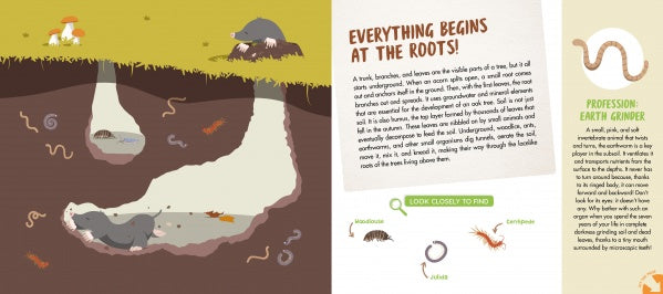 Explore underground soil layers with moles, earthworms, insects, and plant roots in "The Forest" by Schiffer Publishing, Ltd. Features woodland animals, a giant fold-out poster, info on soil life, earthworm drawings, insect images. Heading: Everything Begins at the Roots!.