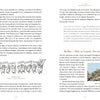 A spread from "Wool" by Schiffer Publishing, Ltd. shows text on wool history and U.S. bison, with a cartoon of sheep holding “Wool Power!” and “Shear Justice!” signs, and bison standing on a rocky hill at the bottom right.