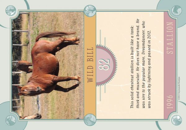 A chestnut stallion stands in a grassy paddock. The Chincoteague Pony Identification Cards by Schiffer Publishing feature “Wild Bill, 82, 1996 Stallion”—a strong chestnut known for his defiant attitude.