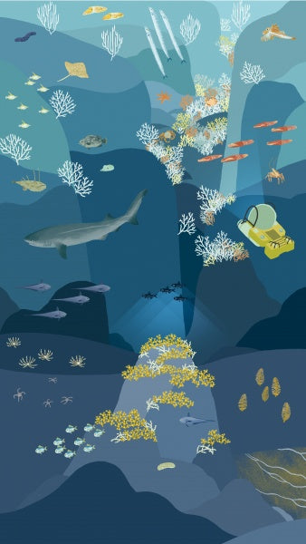 Illustration from "The Sea" by Schiffer Publishing, Ltd. shows a deep-sea trench with fish, corals, a shark, crabs, and a yellow submarine exploring diverse marine life and rocky formations.