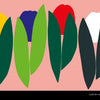 The Chameleon" by Schiffer Publishing, Ltd. features colorful tulips and leaves on pink, with a small green and black cartoon chameleon in the bottom right—perfect for a fun seek and find and boosting observation skills.