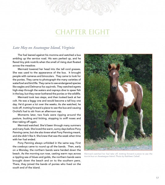 A page from "The True Story of Quintilius" by Schiffer Publishing, Ltd. displays a chapter heading, text about a Chincoteague Pony foal on Assateague Island, and a photo of a brown and white foal with a caption underneath.