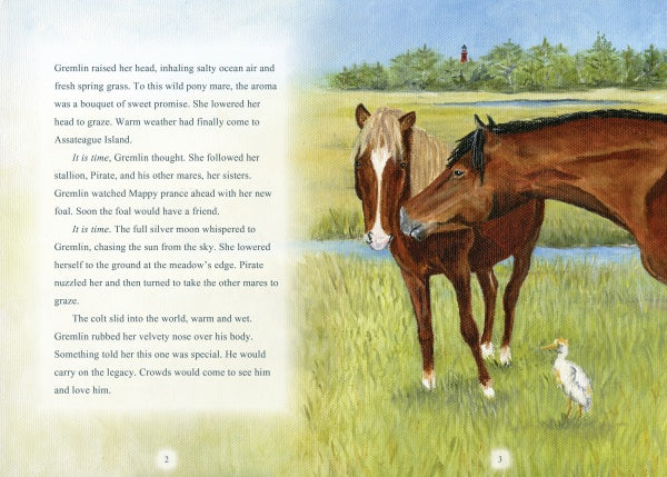 A painted illustration from "Surfer Dude" by Schiffer Publishing, Ltd. shows two Chincoteague Ponies in a grassy field near water with a white egret, grass, trees, and Assateague Island’s red lighthouse under blue sky. Text appears on the left page.
