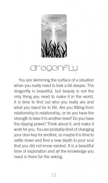 A card from Healing Light and Angel Cards by Schiffer Publishing, Ltd. depicts a dragonfly above grass and the word "dragonfly," with text below about self-reflection, beauty, relationships, change, growth, chakra healing, and "Page 15" at the bottom.