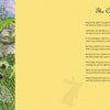 Illustration of a brown rabbit in a meadow at sunrise with wildflowers and grass, with the title Rupert's Tales from Schiffer Publishing, Ltd. and a children's adventure story printed on a yellow background to the right.