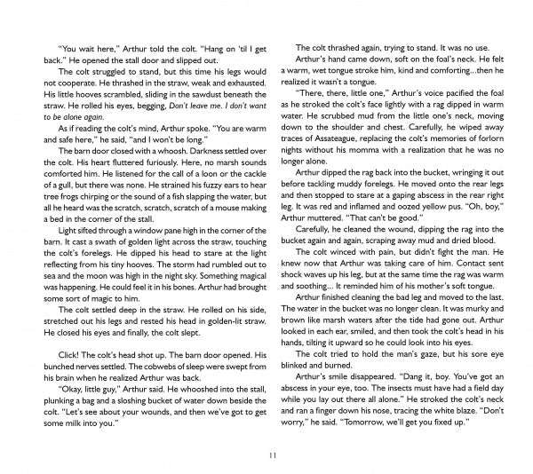 A page from "The True Story of Miracle Man" by Schiffer Publishing, Ltd. shows Arthur gently comforting an orphaned foal—talking softly, treating its wounds, and offering patient reassurance in a detailed, moving scene.