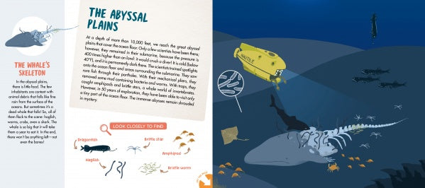 Discover "The Sea" by Schiffer Publishing, Ltd.—a panoramic fold-out poster featuring an illustrated cross-section of the abyssal plains, a yellow submarine by a whale skeleton, deep-sea creatures, plus informative text and diagrams about ocean habitats.