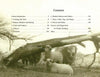 Four sheep rest under a fallen tree in a field with bare trees behind them. On the left, the table of contents for "Yesterday's Farm Tools & Equipment" by Schiffer Publishing, Ltd. is visible.
