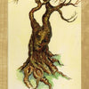 An illustration of a gnarled tree with a human-like face in its trunk, labeled “ELDER” on red, evokes self-awareness. Designed as a card from the Tree of Life Oracle by Schiffer Publishing, Ltd.