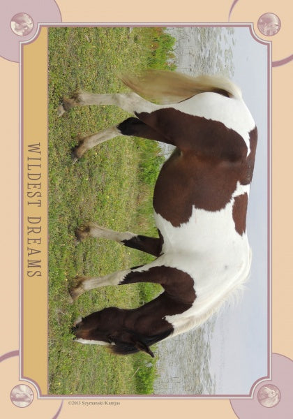 A brown and white horse grazes by water, recalling wild Chincoteague Ponies, is shown with a beige border and "WILDEST DREAMS" on the side. Product: Chincoteague Pony Identification Cards by Schiffer Publishing.