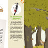 An illustrated spread from The Forest by Schiffer Publishing, Ltd. features birds, bees, and woodland animals. The left page covers leaves and solar panels; the right shows trees, a fox, nests, and includes a giant fold-out poster to explore!.