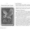 The Secret Language of Birds Tarot by Schiffer Publishing, Ltd. features an Ace of Cups card with a flying kingfisher holding a cup, plus text on the card’s meaning, keywords, and upright interpretation guidance.
