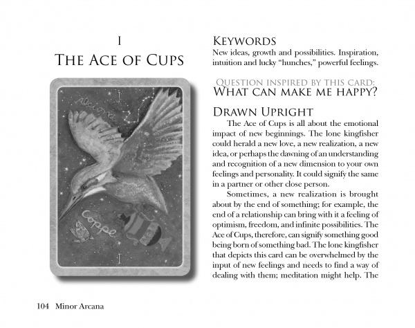 The Secret Language of Birds Tarot by Schiffer Publishing, Ltd. features an Ace of Cups card with a flying kingfisher holding a cup, plus text on the card’s meaning, keywords, and upright interpretation guidance.