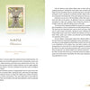 Pages 128–129 of The Herbal Healing Deck by Schiffer Publishing, Ltd. present the maple tree, featuring an illustrated card with roots and branches. Text covers maple’s symbolism of abundance, Native American use, and herbal medicine applications.