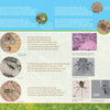Discover "In Mouse's Backyard" by Schiffer Publishing, Ltd.—a nature guide with acorn and woodland facts, animal photos, plant cell close-ups, electron microscope images, and acorn art on a brown and light blue background.