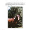 The True Story of Sea Feather by Schiffer Publishing, Ltd. features a white and brown Chincoteague Pony outdoors on grassy ground, held by a rope, with sunny skies and tall pine trees in the background.
