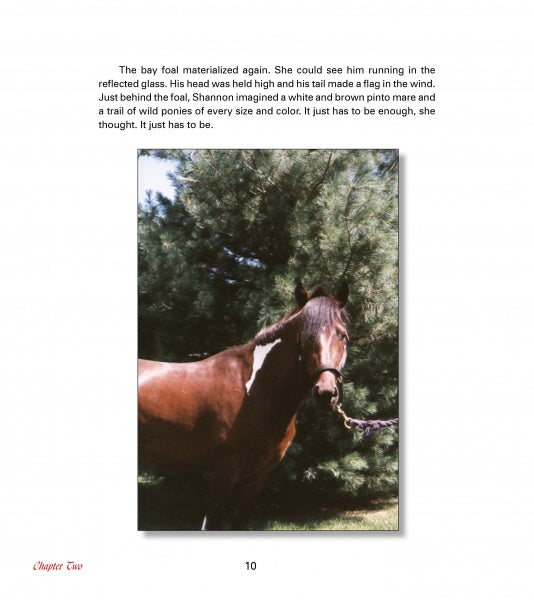 The True Story of Sea Feather by Schiffer Publishing, Ltd. features a white and brown Chincoteague Pony outdoors on grassy ground, held by a rope, with sunny skies and tall pine trees in the background.