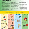 Cardboard" by Schiffer Publishing, Ltd. is an illustrated guide for kids featuring projects like a bee, flowers, guitar, box, and more—each rated by difficulty to help develop fine motor skills.