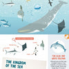 Discover the secrets of the sea in "The Sea" by Schiffer Publishing, Ltd.—an illustrated ocean scene with a large whale, fish, dolphins, sea turtle, labeled animal icons above informative text, plus a panoramic fold-out poster.