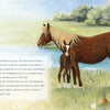 A "Surfer Dude" Chincoteague Pony mare and foal stand by a pond with green grass and trees. A white bird wades nearby, while a small brown bird is in the grass. Text appears on the left. Brand: Schiffer Publishing, Ltd.