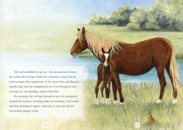 A "Surfer Dude" Chincoteague Pony mare and foal stand by a pond with green grass and trees. A white bird wades nearby, while a small brown bird is in the grass. Text appears on the left. Brand: Schiffer Publishing, Ltd.