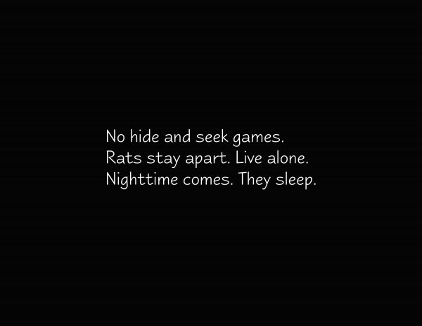 White text on a black background reads: In The Rat Tank by Schiffer Publishing, Ltd., rats stay apart and live alone. Nighttime comes and they sleep—a gentle haiku poetry moment for early readers ages 5-8.