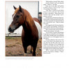 A brown and white Chincoteague Pony foal stands before a white building with a brown roof, evoking the calm charm of “The True Story of Quintilius” from Schiffer Publishing, Ltd.
