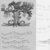 Black and white illustration of a bird on a tree with flowers. Handwritten English and unknown text on Mesoamerican divination surrounds it. "The Star Road Map" by Schiffer Publishing, Ltd. credit appears in the lower right corner.