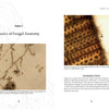 A spread from Spalting 101 by Schiffer Publishing, Ltd. shows "Basics of Fungal Anatomy," featuring a microscopic fungi image and a close-up of spalting structures, both with captions detailing DIY spalting techniques.