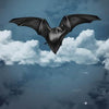 A black bat with outstretched wings soars above white clouds and stars, channeling the mystical vibe of oracle cards from The Witch's Oracle, 2nd Edition by Schiffer Publishing, Ltd. "Bat" appears at the image's bottom.