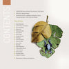 The table of contents in "Reptiles & Amphibians in Contemporary Art" by Schiffer Publishing, Ltd. features a large leaf with a blue poison dart frog partially hidden beneath it, contents on the left, and artist names on the right.