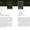 A page from "The Wild Elemental Oracle" by Schiffer Publishing, Ltd. displays cards 18 Spider and 19 Frog, each with a water element label, their attributes, and paragraphs unveiling their Mother Nature wisdom and symbolism.