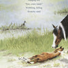 A Chincoteague pony nudges a newborn foal on sandy ground near water, with a bird in the background. Text: “Nudging soft ‘Son, come stand.’ Wobbling, falling Scratchy sand.” From Wild Colt by Schiffer Publishing, Ltd. Ideal for a picture book.