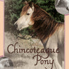 Cover of Schiffer Publishing’s Chincoteague Pony Identification Cards, featuring a photo of a light brown pony with dark mane among wild ponies on a pastel border—ideal for Chincoteague Pony trading card fans.