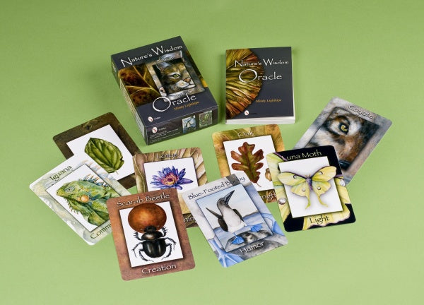 A set of colorful oracle cards by Mindy Lighthipe, called Nature's Wisdom Oracle, featuring animal, insect, and plant illustrations, is spread out on a green surface with the deck's box also visible among the cards.