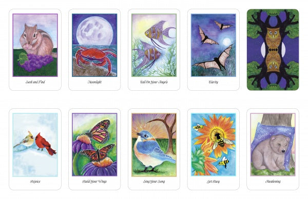 The Higher Intuitions Oracle by Schiffer Publishing, Ltd. features ten illustrated cards with animal spirit messages, showcasing scenes such as a chipmunk, crab, bats, owls, butterflies, a bluebird, bees with a sunflower, and a bear.