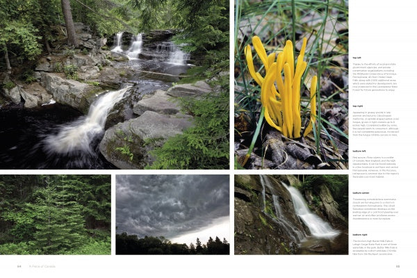 Reserves of Strength: Pennsylvania's Natural Landscape" by Schiffer Publishing, Ltd. is a collage of nature photography—forest waterfalls, stormy skies, green trees, and yellow fungi—with descriptive text on the right.