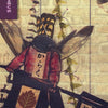 A stylized figure with insect wings and a leaf-emblem banner stands before a decorative wall. Text reads CALCANEUS and Foundation, referencing Schiffer Publishing, Ltd.’s Body Cards, a deck for anatomy learning and self-discovery.