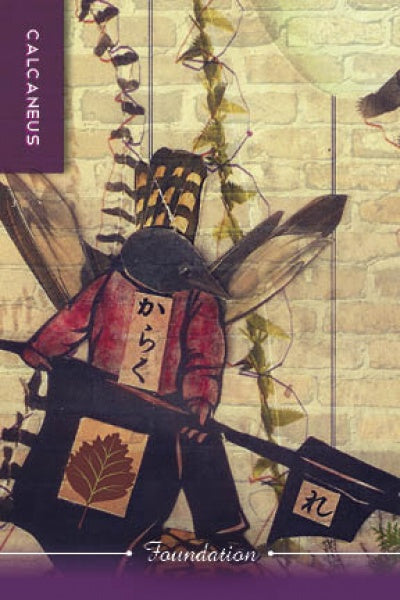 A stylized figure with insect wings and a leaf-emblem banner stands before a decorative wall. Text reads CALCANEUS and Foundation, referencing Schiffer Publishing, Ltd.’s Body Cards, a deck for anatomy learning and self-discovery.
