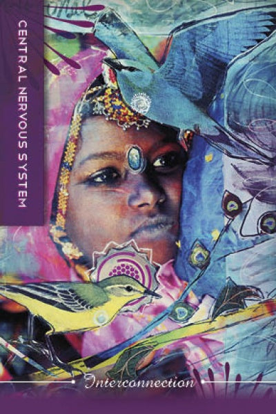 A vibrant collage from Body Cards by Schiffer Publishing, Ltd. features a jeweled woman with birds and abstract elements, text reading CENTRAL NERVOUS SYSTEM on the side and Interconnection at the bottom.