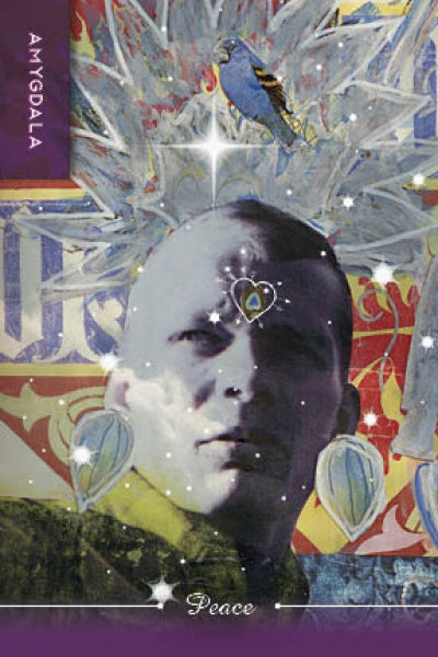 A surreal collage inspired by Body Cards from Schiffer Publishing, Ltd., with a man’s face and light patterns, a blue bird, abstract shapes, AMYGDALA on purple, and Peace below—all evoking mystical self-discovery.