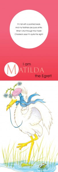 Matilda the white egret, featured in Chadwick And Friends by Schiffer Publishing, Ltd., strolls in marsh grass and water wearing a pink hat with blue ribbon and flowers. Text above her is a rhyming poem about her beak and feathers.