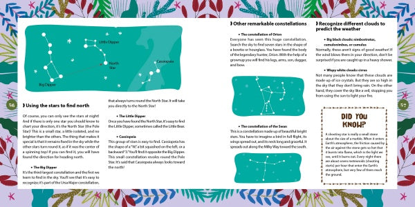 An illustrated infographic in "How to Survive on a Desert Island" by Schiffer Publishing, Ltd. shows how to navigate using stars like Orion or Cassiopeia and clouds for weather, with colorful plant borders and constellation diagrams.