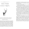 Two pages from "Soul Stepping" by Schiffer Publishing, Ltd.: the left features Chapter One—The Path Less Taken with a deer illustration, quote, and intro to spiritual walking; the right offers reflections on happiness, freedom, and the soul’s journey.