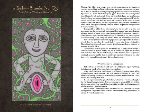 Artwork from the Dark Goddess Tarot by Schiffer Publishing, Ltd. depicts Sheela Na Gig, a female figure with green swirling hair and wide eyes, surrounded by vines and pink flowers, symbolizing the sacred feminine.