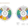 Health through Your Eyes" by Schiffer Publishing, Ltd. uses a circular chart mapping organs and body parts around the iris, visually illustrating iridology for holistic health assessment and iris analysis.